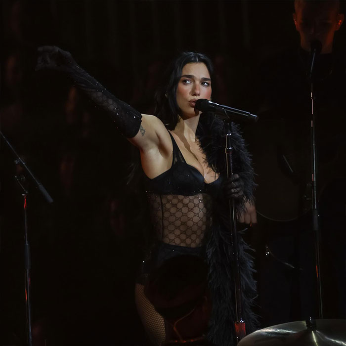 “This King Deserves A Raise”: Dua Lipa’s Guard Stops Fan From Touching Her At LA Concert