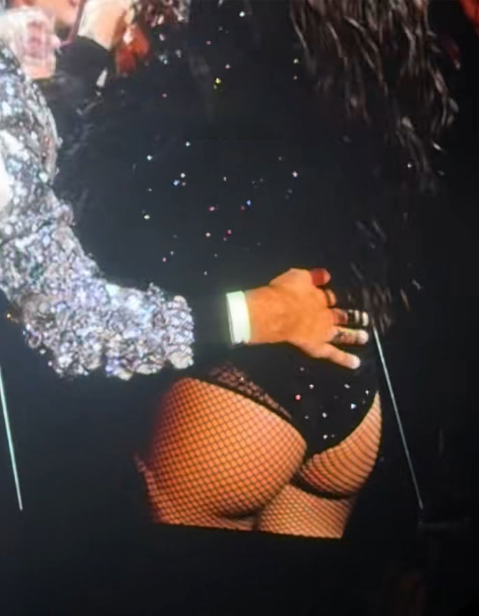“This King Deserves A Raise”: Dua Lipa’s Guard Stops Fan From Touching Her At LA Concert