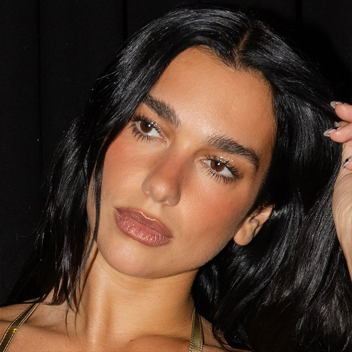 “This King Deserves A Raise”: Dua Lipa’s Guard Stops Fan From Touching Her At LA Concert