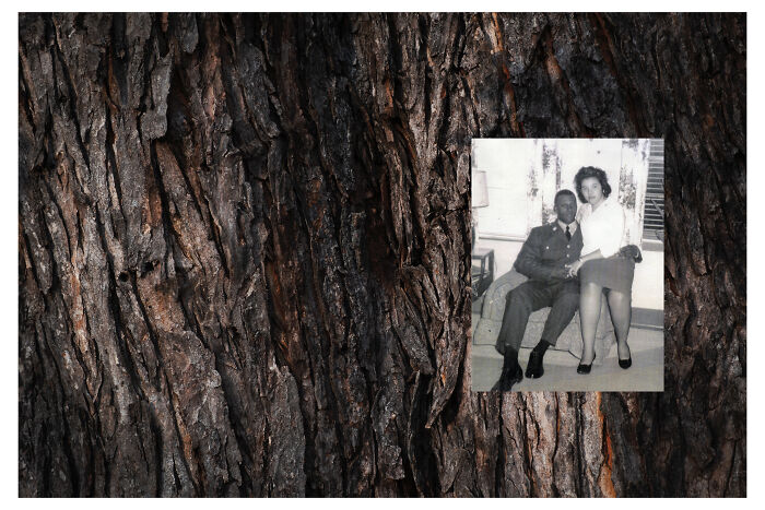 This Virginia Artist Turns Family History And Grief Into Striking Visual Storytelling (20 Pics)