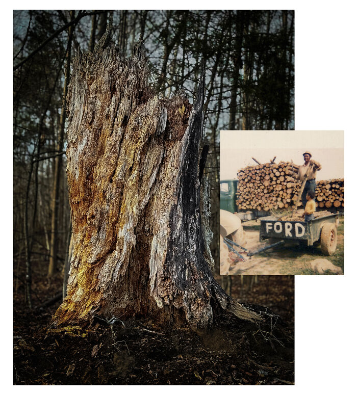 This Virginia Artist Turns Family History And Grief Into Striking Visual Storytelling (20 Pics)