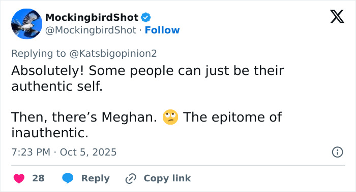After Backlash Over Meghan Markle&#8217;s Video, Lana Del Rey&#8217;s Husband Gets Praised For Being Classier