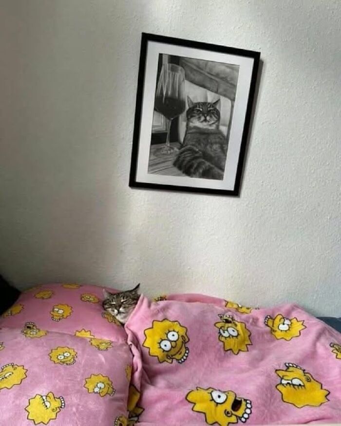 50 Of The Most Hilarious And Cute Cat-Themed ‘Important Animal Images’ To Brighten Your Day