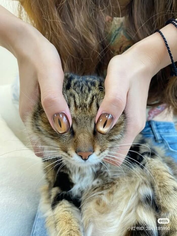 50 Of The Most Hilarious And Cute Cat-Themed ‘Important Animal Images’ To Brighten Your Day