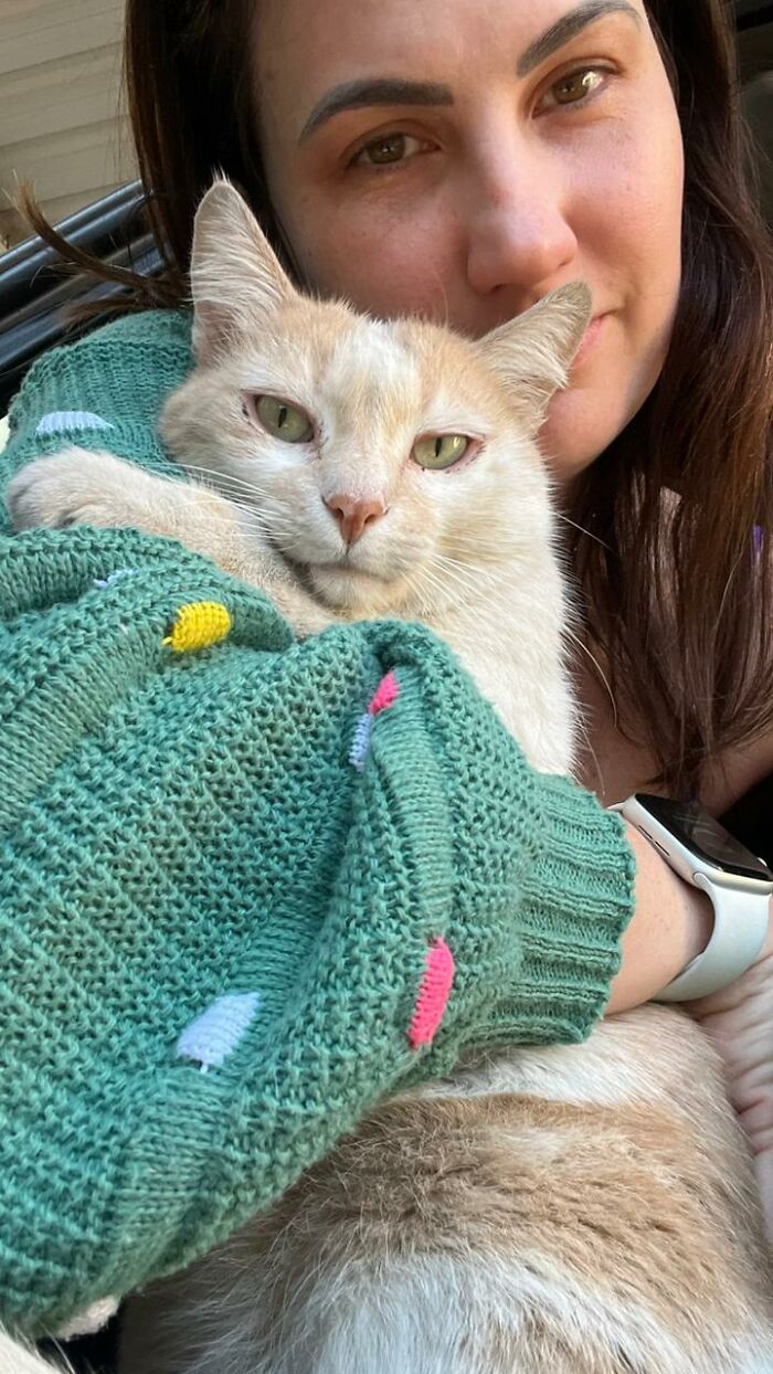 A Woman Bought A Car And Turned It Into A Cozy Home For Stray Cats