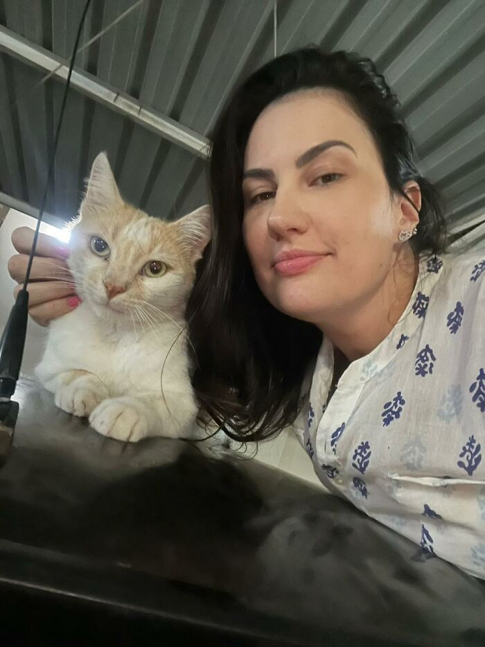 A Woman Bought A Car And Turned It Into A Cozy Home For Stray Cats