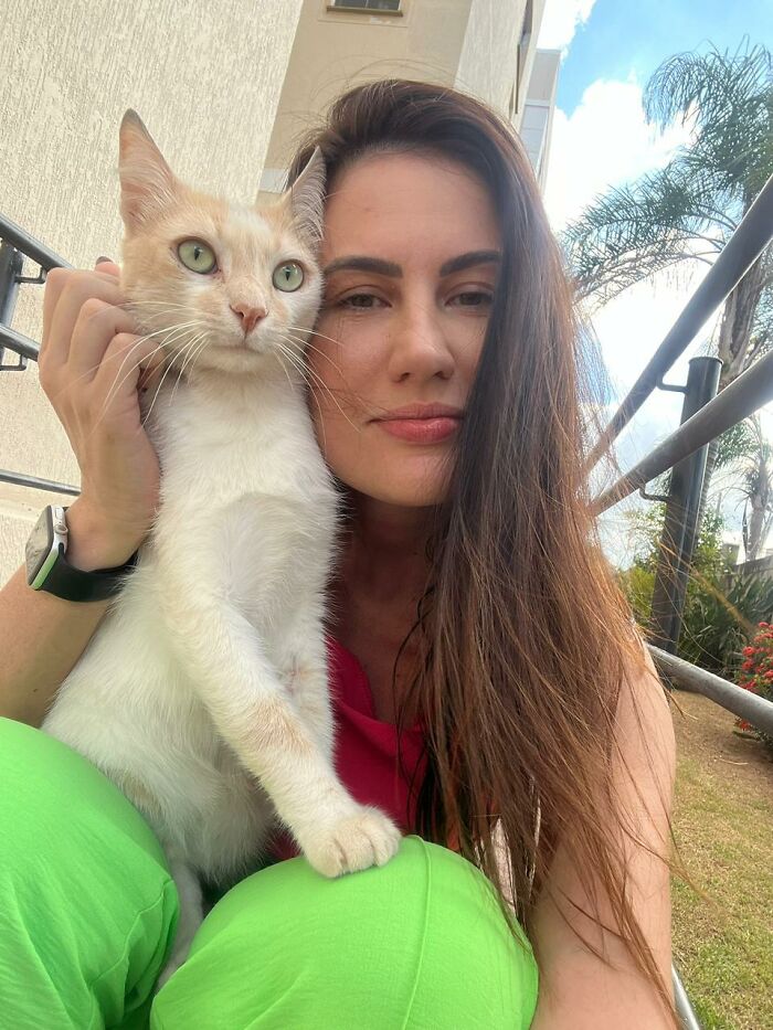 A Woman Bought A Car And Turned It Into A Cozy Home For Stray Cats