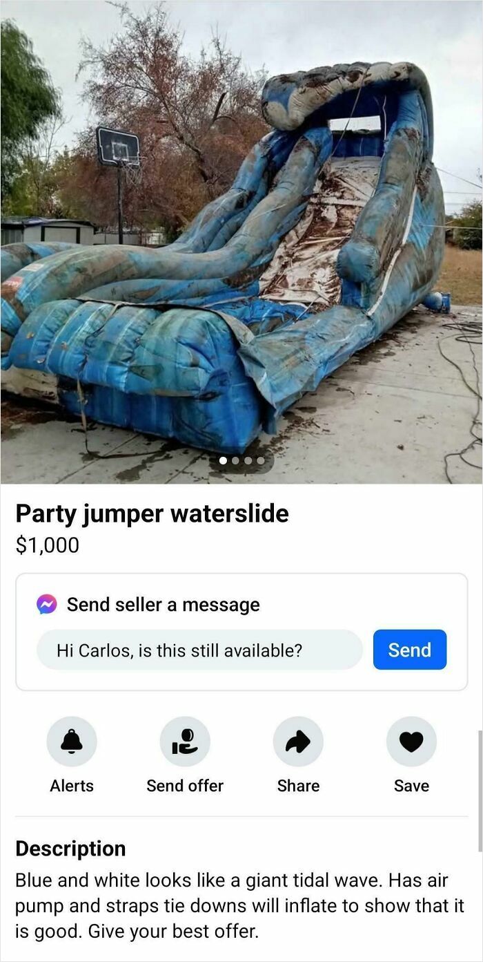98 Unhinged Things People Thought They Could Sell Online
