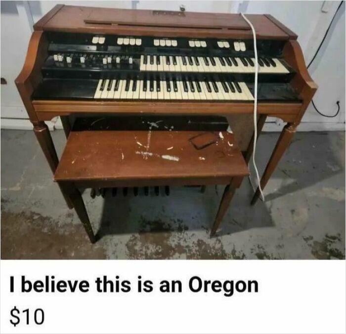 98 Unhinged Things People Thought They Could Sell Online