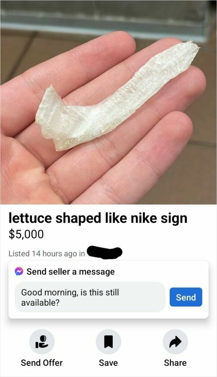 98 Unhinged Things People Thought They Could Sell Online
