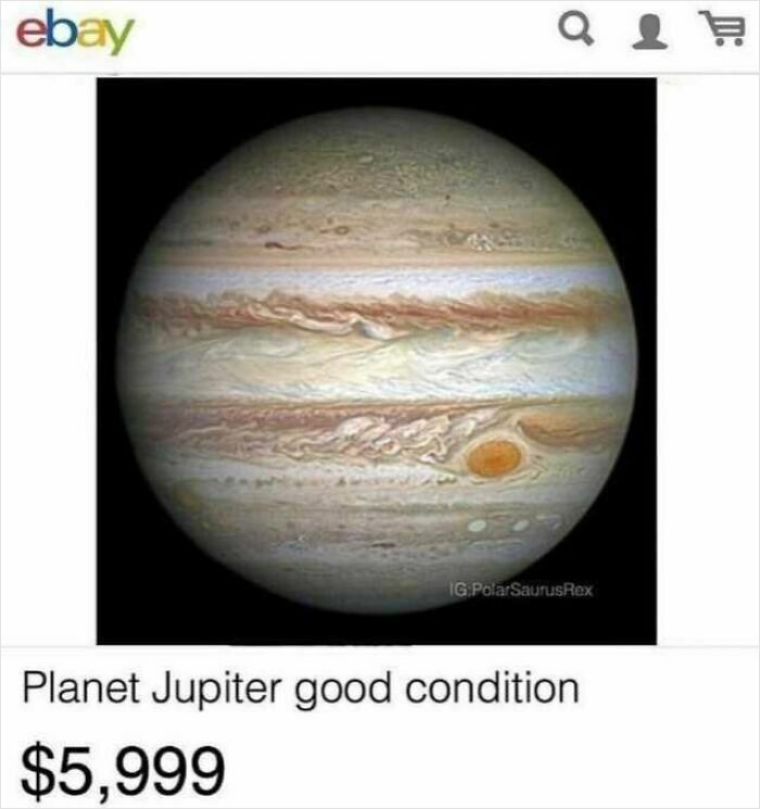 98 Unhinged Things People Thought They Could Sell Online