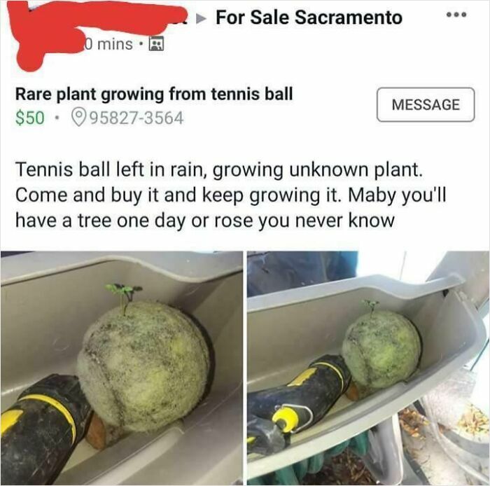 98 Unhinged Things People Thought They Could Sell Online