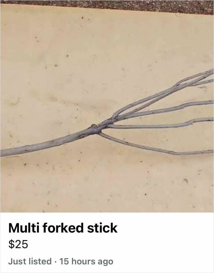 98 Unhinged Things People Thought They Could Sell Online