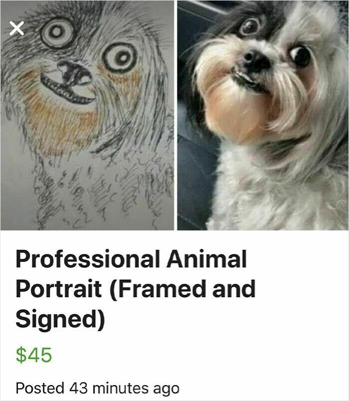 98 Unhinged Things People Thought They Could Sell Online