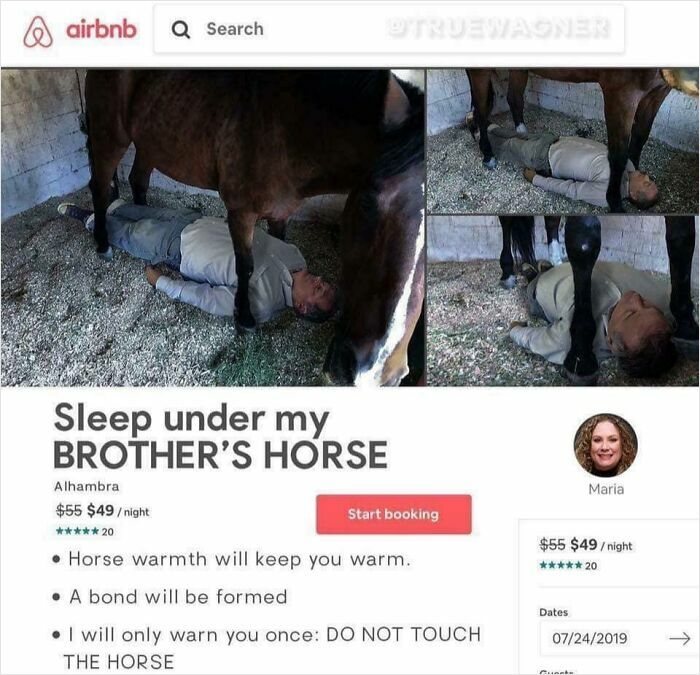 98 Unhinged Things People Thought They Could Sell Online