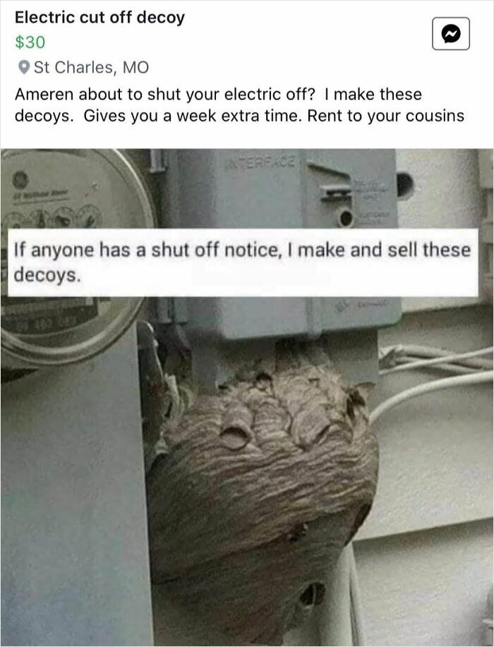 98 Unhinged Things People Thought They Could Sell Online