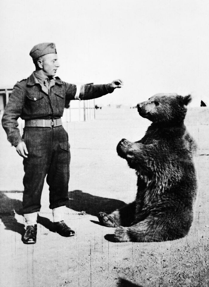 80 Fascinating Photos, Facts And Stories That May Help You See The World Differently