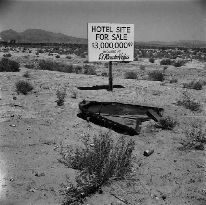 80 Fascinating Photos, Facts And Stories That May Help You See The World Differently