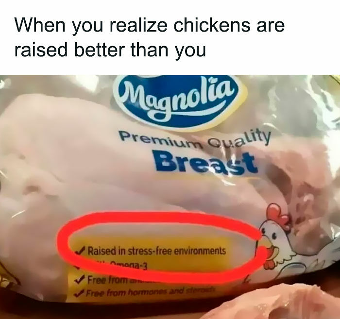 94 Painfully Accurate Work Memes For Anyone Who’s Spiritually Unemployed