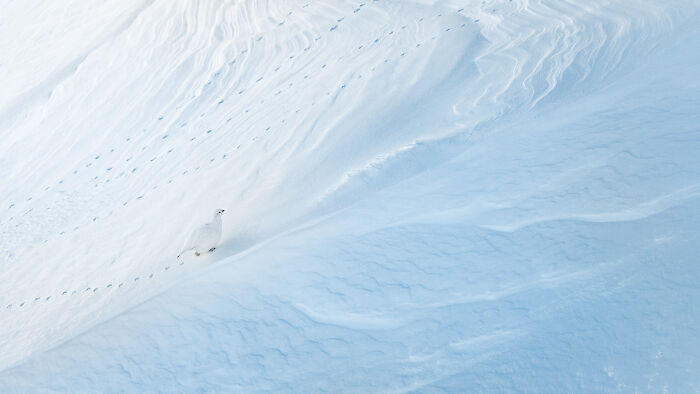 The Finalists Of  Photographer Of The Year Are In And Here Are 26 Winning Images