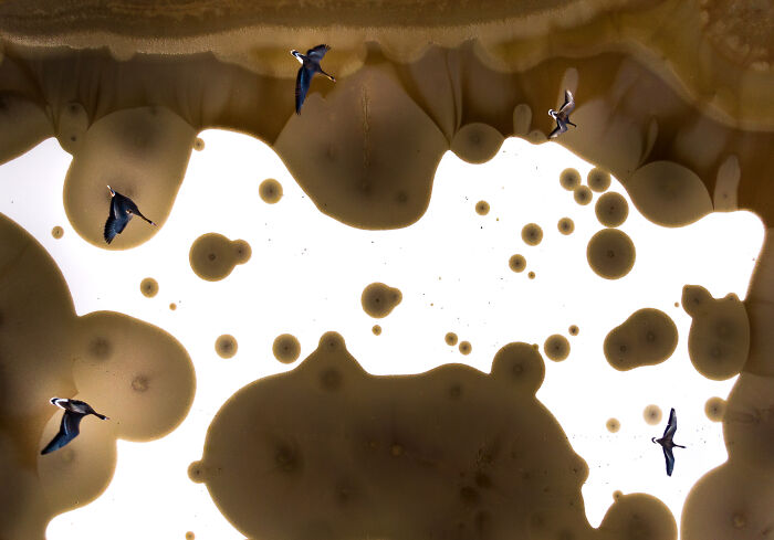 The Finalists Of  Photographer Of The Year Are In And Here Are 26 Winning Images