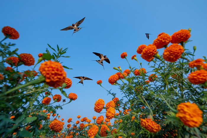 The Finalists Of  Photographer Of The Year Are In And Here Are 26 Winning Images