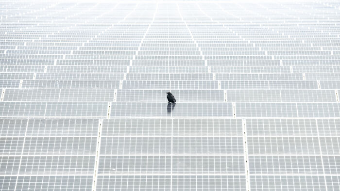The Finalists Of  Photographer Of The Year Are In And Here Are 26 Winning Images
