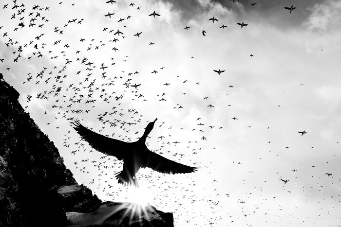 The Finalists Of  Photographer Of The Year Are In And Here Are 26 Winning Images