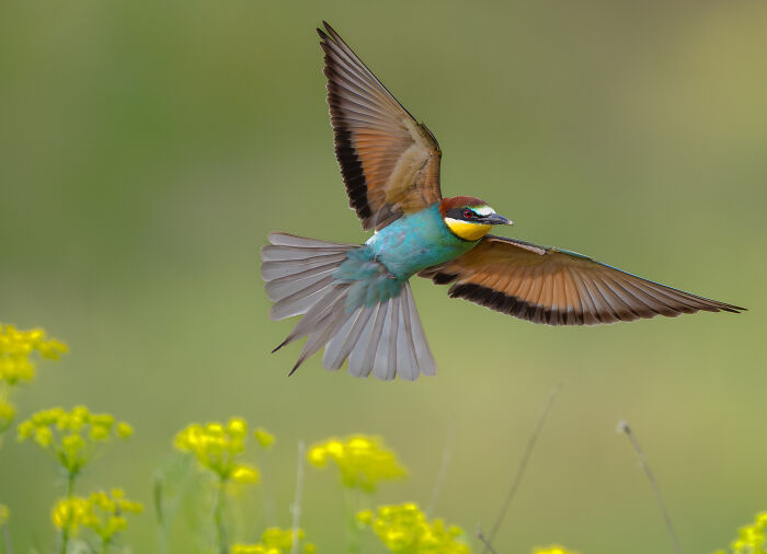 The Finalists Of  Photographer Of The Year Are In And Here Are 26 Winning Images