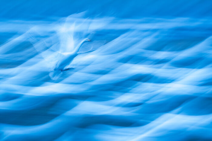 The Finalists Of  Photographer Of The Year Are In And Here Are 26 Winning Images