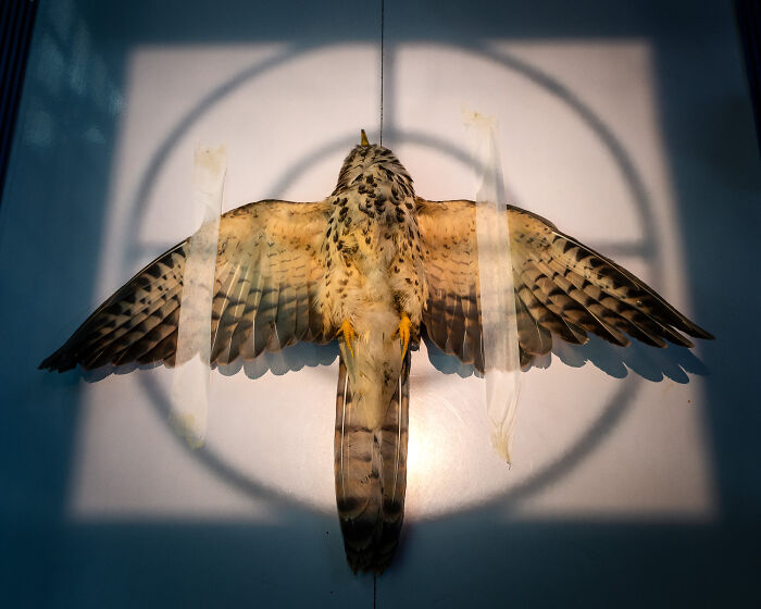 The Finalists Of  Photographer Of The Year Are In And Here Are 26 Winning Images