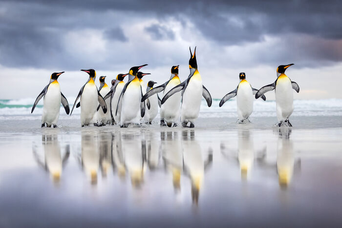 The Finalists Of  Photographer Of The Year Are In And Here Are 26 Winning Images