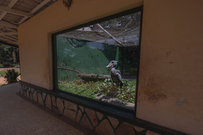 The Finalists Of  Photographer Of The Year Are In And Here Are 26 Winning Images