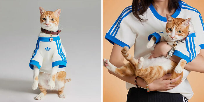 This Brand Created A Fashion Line For Pets, And Here Are 20 Highlights