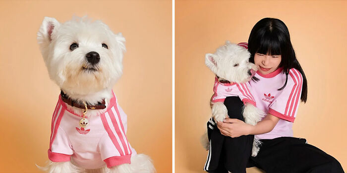 This Brand Created A Fashion Line For Pets, And Here Are 20 Highlights