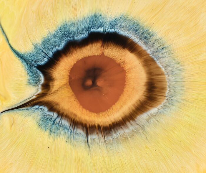 This Photographer Captures Ink and Water Collisions That Look Like Human Eyes (17 Pics)