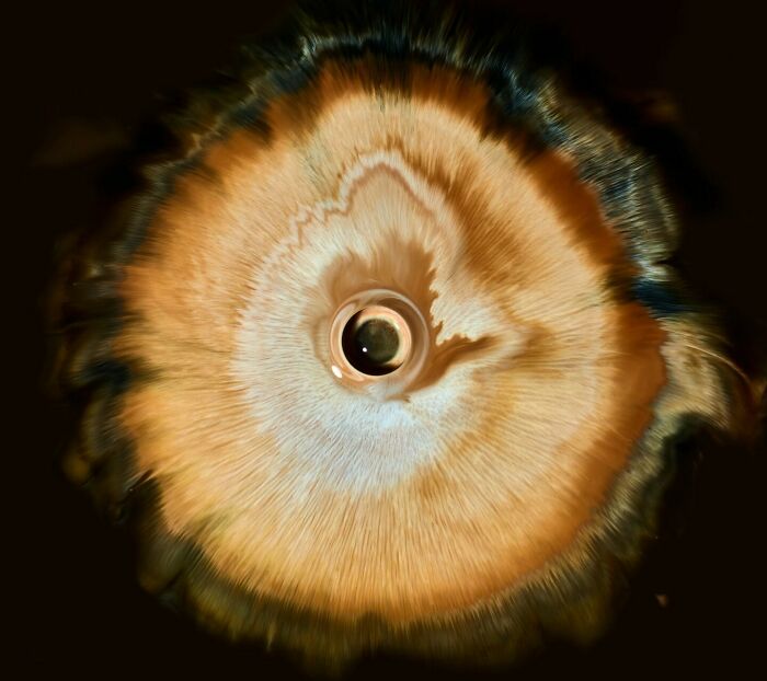 This Photographer Captures Ink and Water Collisions That Look Like Human Eyes (17 Pics)