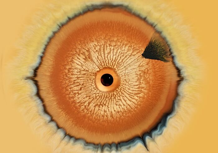 This Photographer Captures Ink and Water Collisions That Look Like Human Eyes (17 Pics)