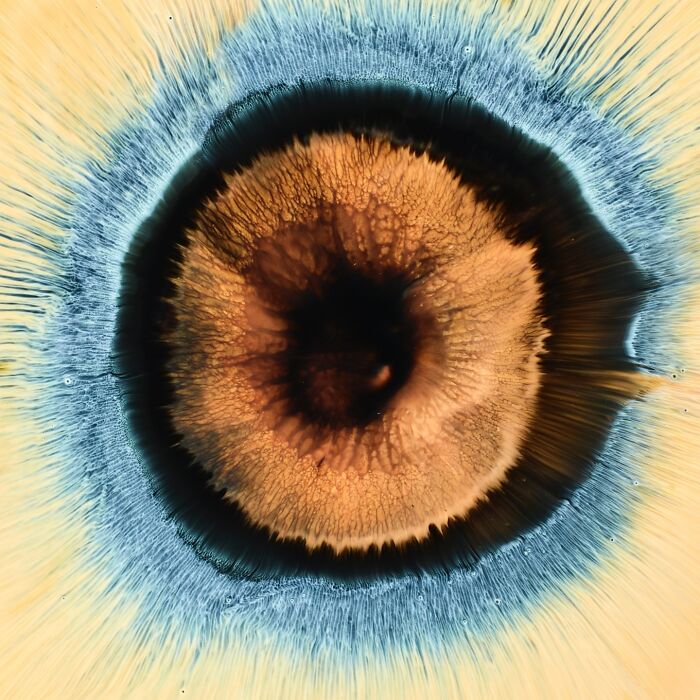 This Photographer Captures Ink and Water Collisions That Look Like Human Eyes (17 Pics)