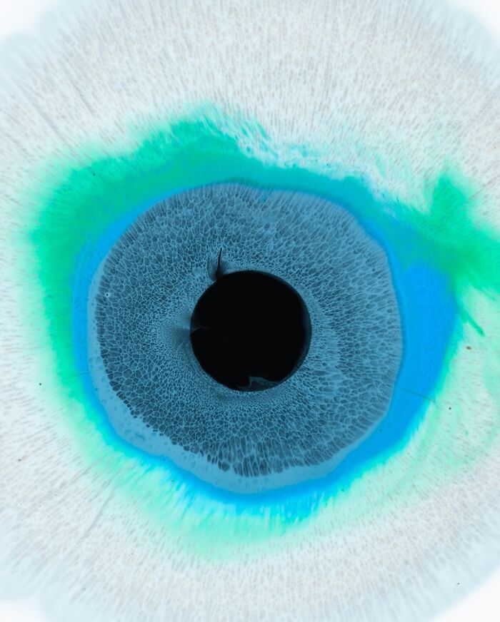 This Photographer Captures Ink and Water Collisions That Look Like Human Eyes (17 Pics)