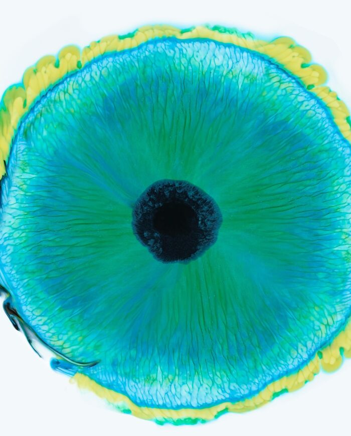 This Photographer Captures Ink and Water Collisions That Look Like Human Eyes (17 Pics)