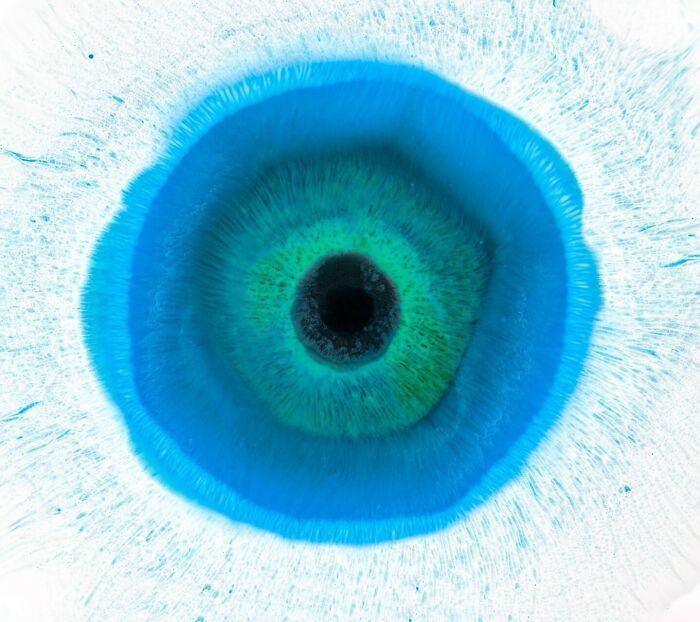 This Photographer Captures Ink and Water Collisions That Look Like Human Eyes (17 Pics)