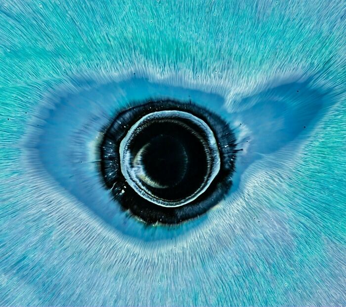 This Photographer Captures Ink and Water Collisions That Look Like Human Eyes (17 Pics)