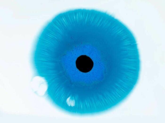 This Photographer Captures Ink and Water Collisions That Look Like Human Eyes (17 Pics)