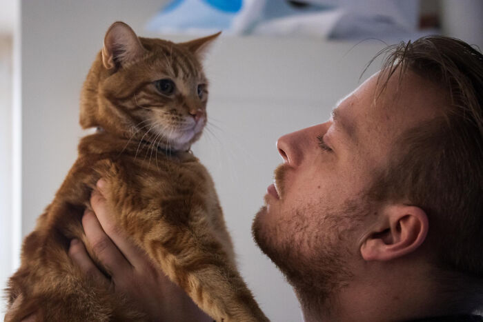 40 Hilariously Destructive Things Cats Have Done And Possible &#8220;Apologies&#8221; They Gave After That