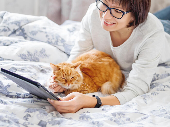 40 Hilariously Destructive Things Cats Have Done And Possible &#8220;Apologies&#8221; They Gave After That