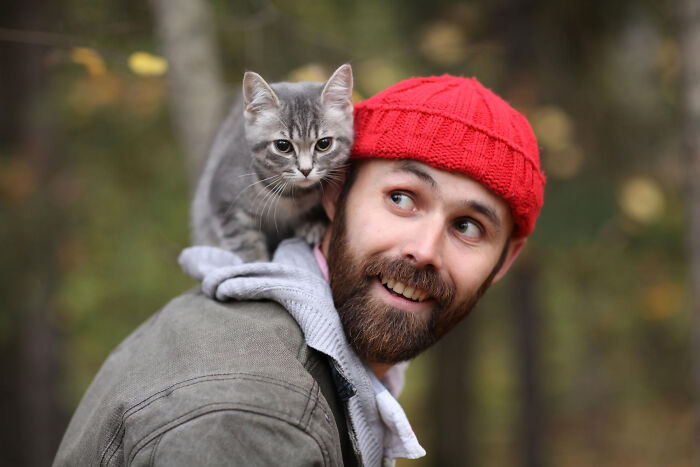 40 Hilariously Destructive Things Cats Have Done And Possible &#8220;Apologies&#8221; They Gave After That