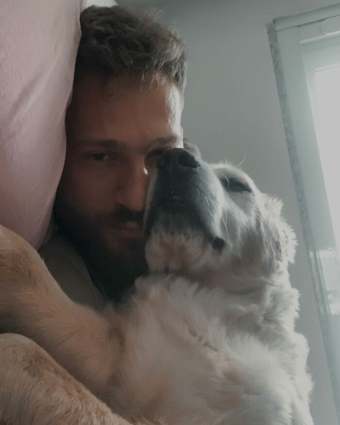 This Brave Golden Retriever Touched Thousands Of Lives Before Passing Away