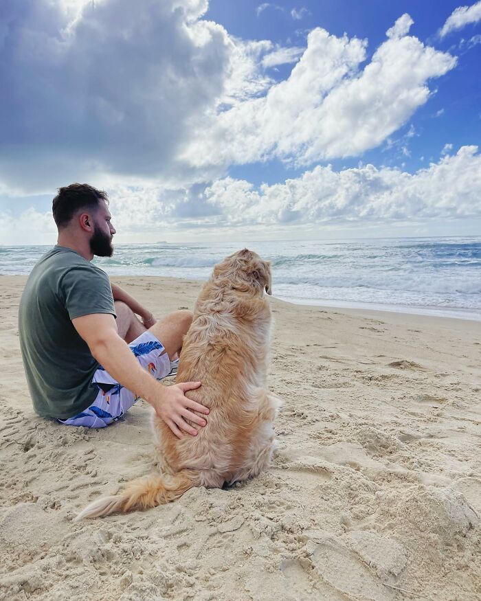 This Brave Golden Retriever Touched Thousands Of Lives Before Passing Away