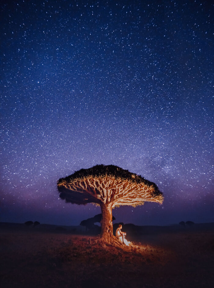 I Was Among the First Travelers To Socotra, And It Surpassed My Wildest Dreams (40 Pics)